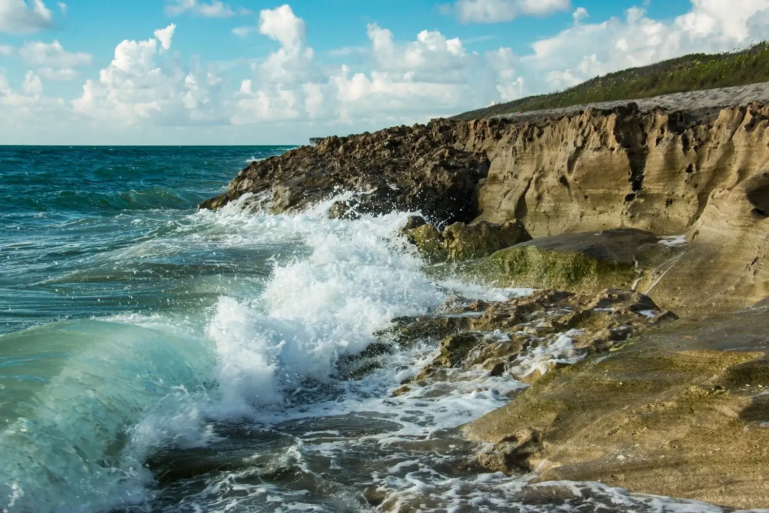Cape Coral Property Management